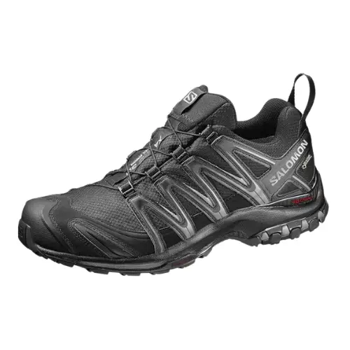 Salomon Herren Xa Pro 3D Gore-tex Traillaufschuhe