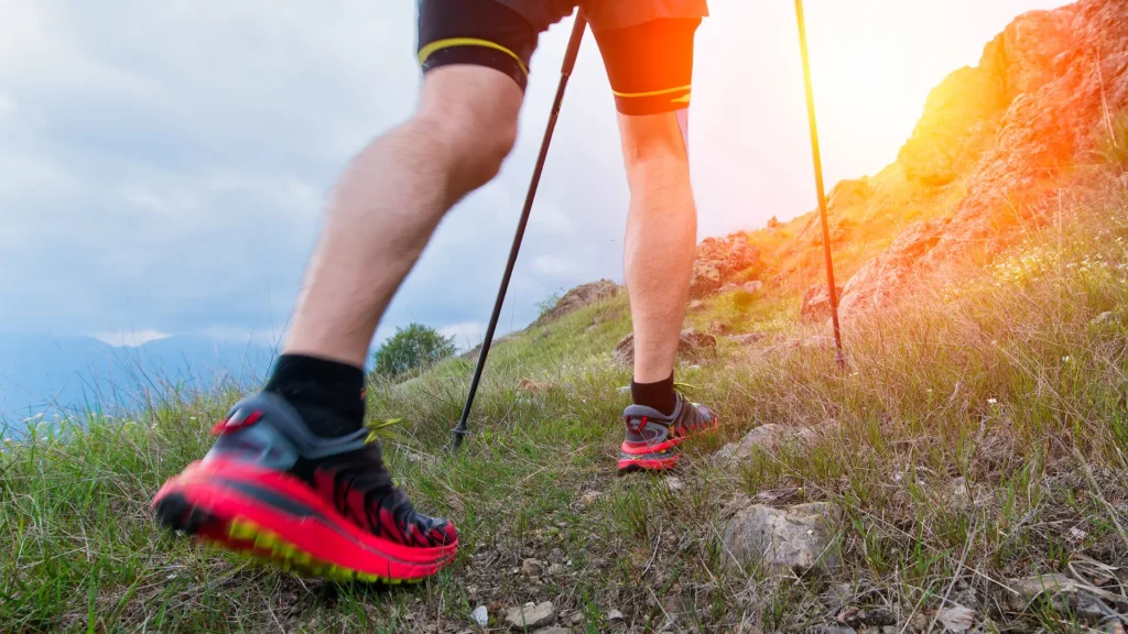 Aldi Nordic Walking Stöcke Test